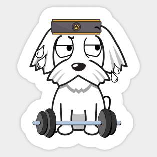 Cute white dog is exercising Sticker